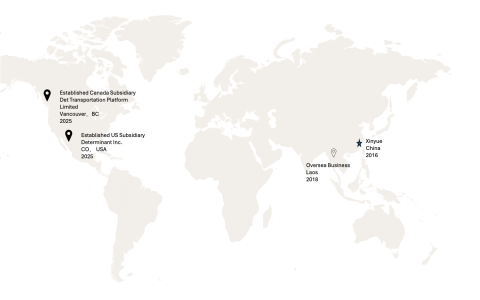 Overseas Operations & International Subsidiaries